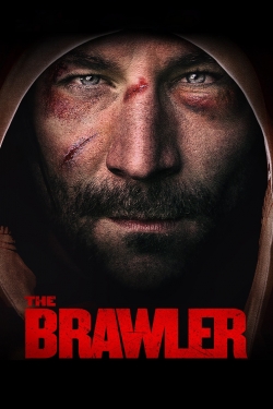 The Brawler (2019) Official Image | AndyDay