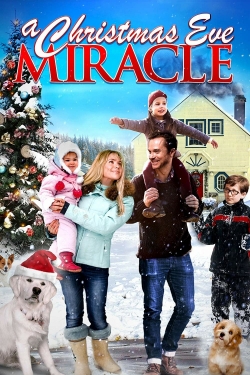 A Christmas Eve Miracle (2015) Official Image | AndyDay