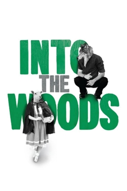 Into the Woods (2011) Official Image | AndyDay
