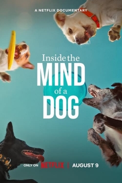 Inside the Mind of a Dog (2024) Official Image | AndyDay