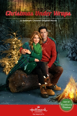 Christmas Under Wraps (2014) Official Image | AndyDay
