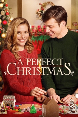 A Perfect Christmas (2016) Official Image | AndyDay