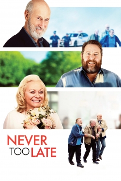 Never Too Late (2020) Official Image | AndyDay