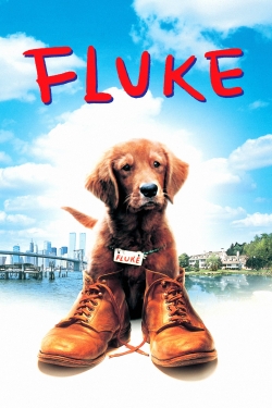 Fluke (1995) Official Image | AndyDay