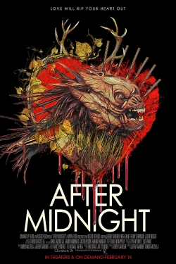 After Midnight (2020) Official Image | AndyDay