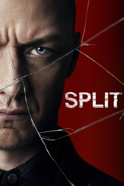 Split (2017) Official Image | AndyDay