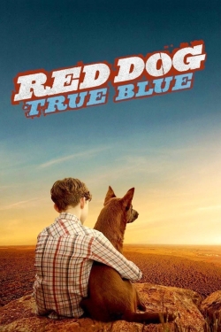 Red Dog: True Blue (2016) Official Image | AndyDay