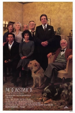 Moonstruck (1987) Official Image | AndyDay