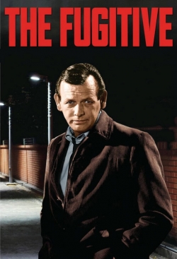 The Fugitive (1963) Official Image | AndyDay