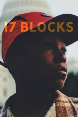 17 Blocks (2019) Official Image | AndyDay