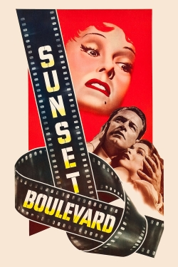 Sunset Boulevard (1950) Official Image | AndyDay