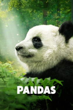 Pandas (2018) Official Image | AndyDay