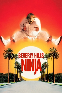 Beverly Hills Ninja (1997) Official Image | AndyDay