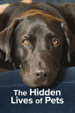 The Hidden Lives of Pets (2022) Official Image | AndyDay
