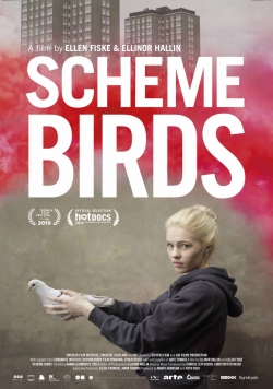Scheme Birds (2019) Official Image | AndyDay