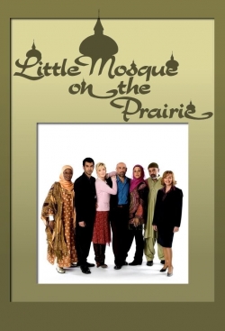 Little Mosque on the Prairie (2007) Official Image | AndyDay