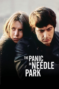 The Panic in Needle Park (1971) Official Image | AndyDay