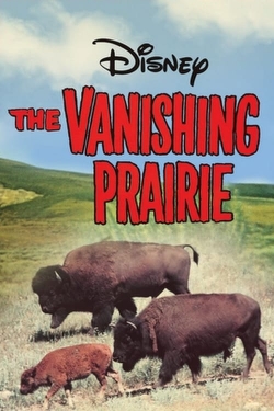 The Vanishing Prairie (1954) Official Image | AndyDay