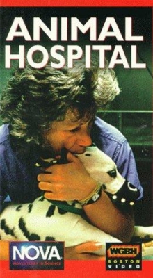 Animal Hospital (1994) Official Image | AndyDay
