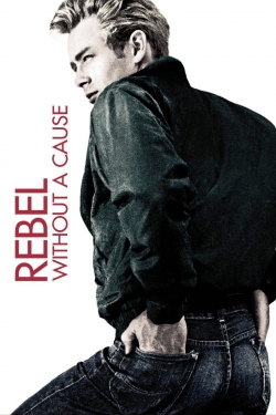 Rebel Without a Cause (1955) Official Image | AndyDay