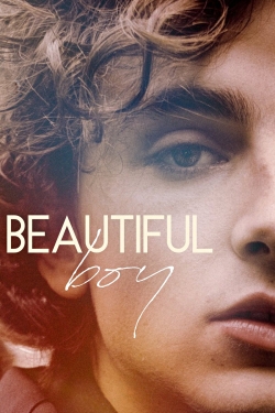 Beautiful Boy (2018) Official Image | AndyDay