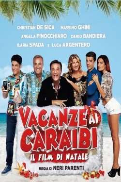 Vacanze ai Caraibi (2015) Official Image | AndyDay