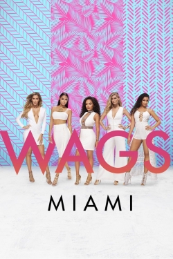 WAGS Miami (2016) Official Image | AndyDay