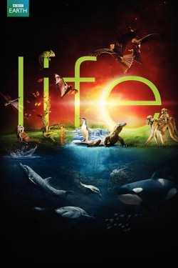 Life (2009) Official Image | AndyDay