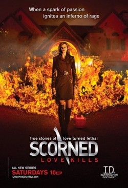 Scorned: Love Kills (2012) Official Image | AndyDay