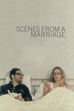 Scenes from a Marriage (1974) Official Image | AndyDay
