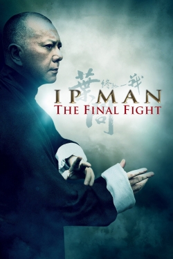 Ip Man: The Final Fight (2013) Official Image | AndyDay