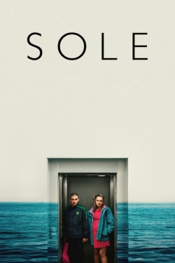 Sole (2019) Official Image | AndyDay