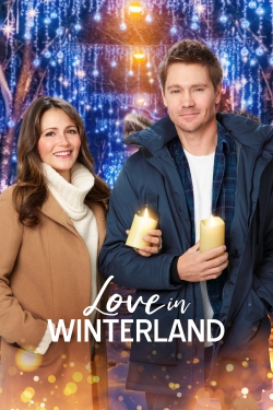 Love in Winterland (2020) Official Image | AndyDay
