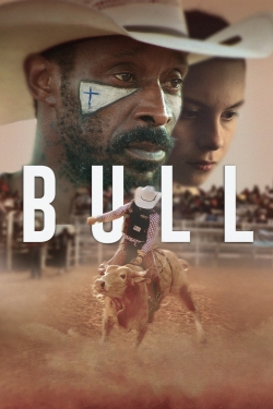 Bull (2019) Official Image | AndyDay