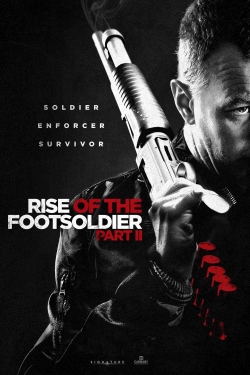 Rise of the Footsoldier Part II (2015) Official Image | AndyDay