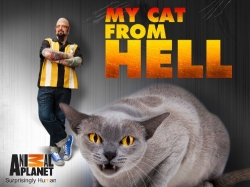 My Cat from Hell (2011) Official Image | AndyDay