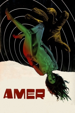 Amer (2009) Official Image | AndyDay