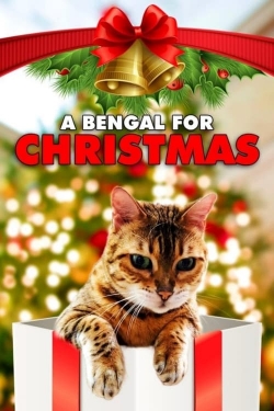 A Bengal for Christmas (2023) Official Image | AndyDay