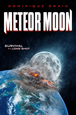 Meteor Moon (0000) Official Image | AndyDay