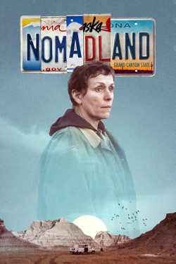 Nomadland (2020) Official Image | AndyDay