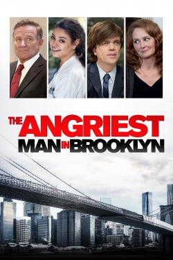The Angriest Man in Brooklyn (2014) Official Image | AndyDay