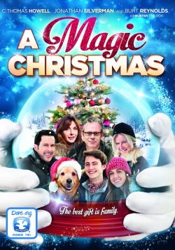 A Magic Christmas (2014) Official Image | AndyDay