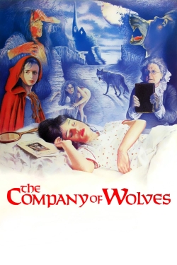 The Company of Wolves (1984) Official Image | AndyDay