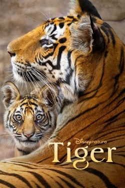 Tiger (2024) Official Image | AndyDay