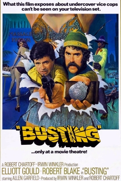 Busting (1974) Official Image | AndyDay