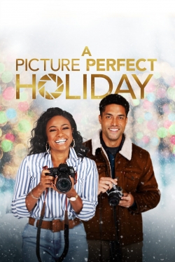 A Picture Perfect Holiday (2021) Official Image | AndyDay