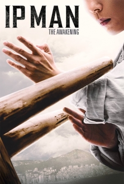 Ip Man: The Awakening (2022) Official Image | AndyDay