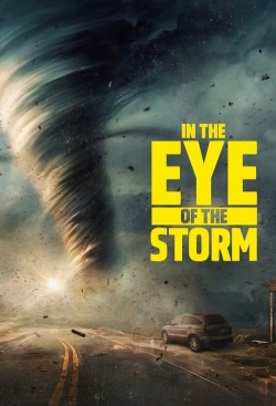 In the Eye of the Storm (2024) Official Image | AndyDay