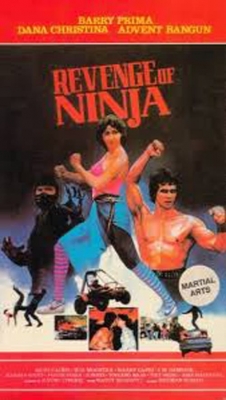 Revenge of the Ninja (1984) Official Image | AndyDay