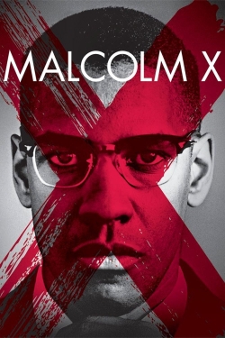 Malcolm X (1992) Official Image | AndyDay